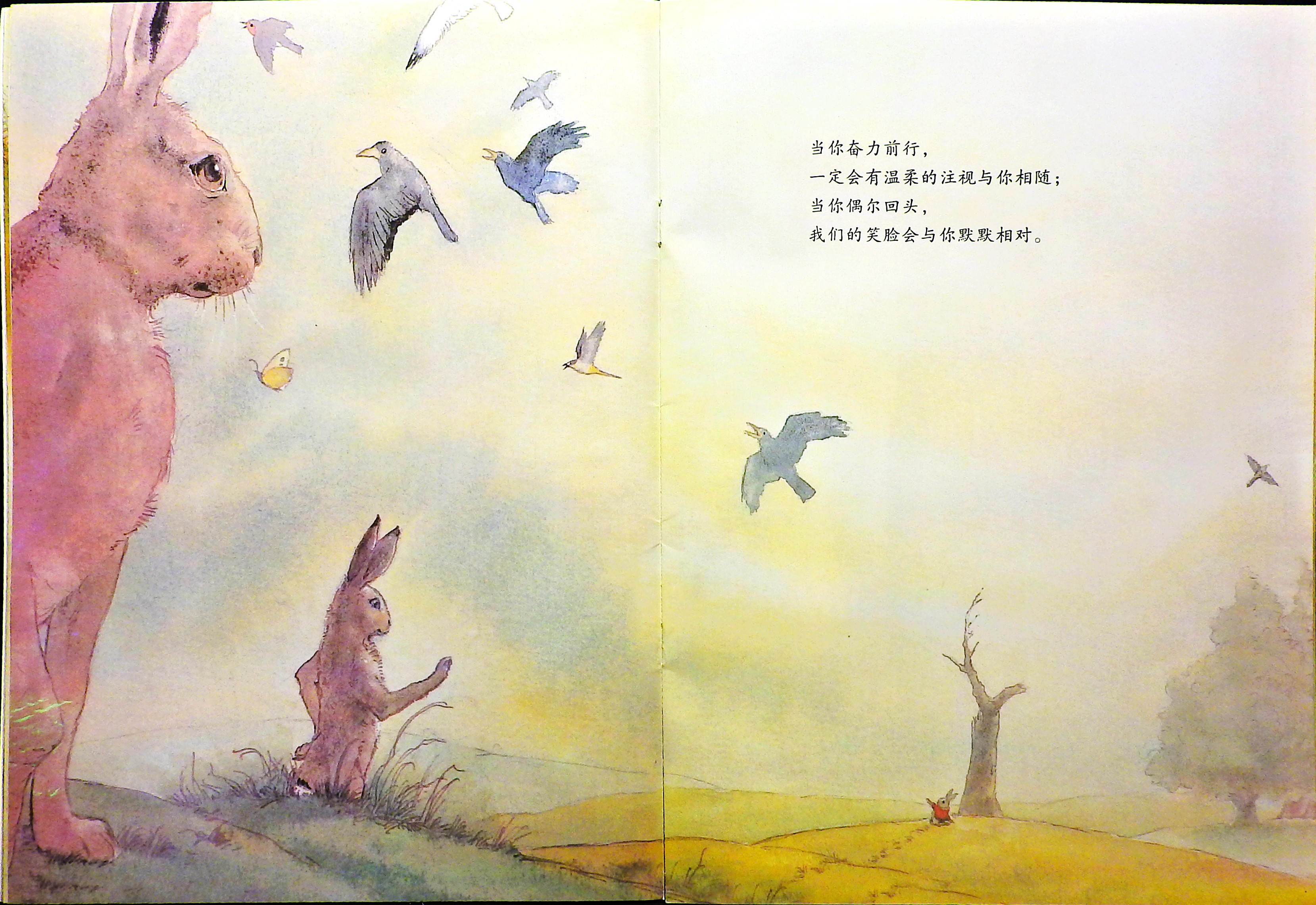 给你的祝愿 (07),绘本,绘本故事,绘本阅读,故事书,童书,图画书,课外阅读